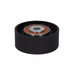 Galet enrouleur de courroie d'accessoire BTA E2C0009BTA