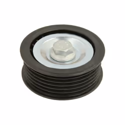 Galet enrouleur de courroie d'accessoire BTA E2F0001BTA