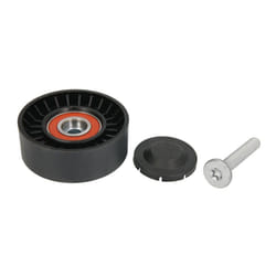 Galet enrouleur de courroie d'accessoire BTA E2A0000BTA