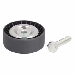 Galet enrouleur de courroie d'accessoire BTA E2F5353BTA