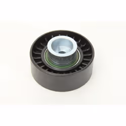 Galet enrouleur de courroie d'accessoire BTA E2P5257BTA
