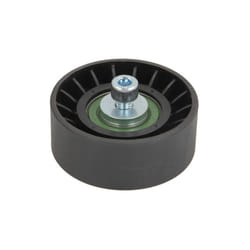 Galet enrouleur de courroie d'accessoire BTA E2B5030BTA