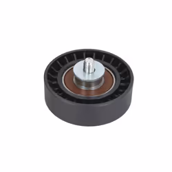 Galet enrouleur de courroie d'accessoire BTA E2F5869BTA