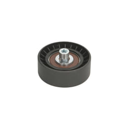 Galet enrouleur de courroie d'accessoire BTA E2F5846BTA