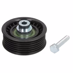 Galet enrouleur de courroie d'accessoire BTA E2P5291BTA