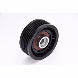 Galet enrouleur de courroie d'accessoire BTA E2R5569BTA