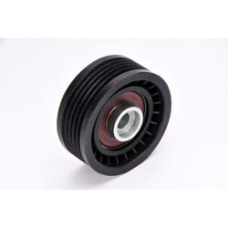 Galet enrouleur de courroie d'accessoire BTA E2R5569BTA