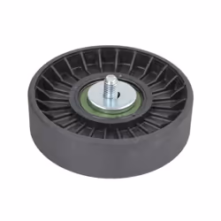 Galet enrouleur de courroie d'accessoire BTA E2P5911BTA