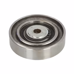 Galet enrouleur de courroie d'accessoire BTA E22003BTA