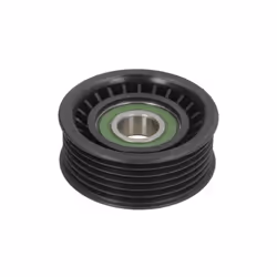 Galet enrouleur de courroie d'accessoire BTA E2G5258BTA