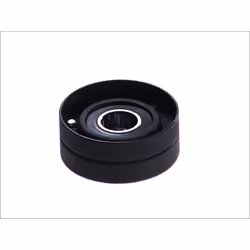 Galet enrouleur de courroie d'accessoire BTA E2R5557BTA
