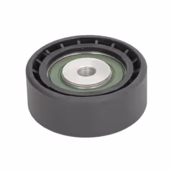 Galet enrouleur de courroie d'accessoire BTA E2R5578BTA