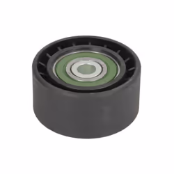 Galet enrouleur de courroie d'accessoire BTA E2C5962BTA