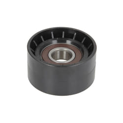Galet enrouleur de courroie d'accessoire BTA E2R5597BTA