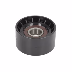 Galet enrouleur de courroie d'accessoire BTA E2R5597BTA