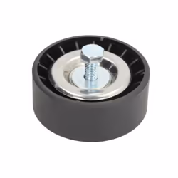 Galet enrouleur de courroie d'accessoire BTA E2G5232BTA