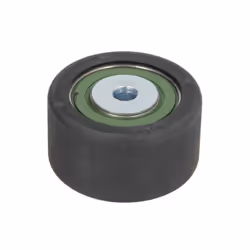 Galet enrouleur de courroie d'accessoire BTA E2R5544BTA