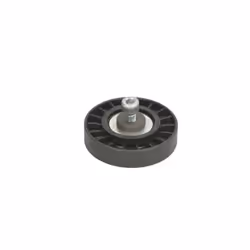 Galet enrouleur de courroie d'accessoire BTA E2R5570BTA