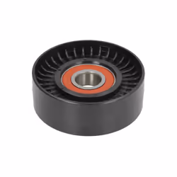 Galet enrouleur de courroie d'accessoire BTA E2W5429BTA