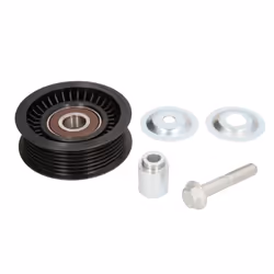 Galet enrouleur de courroie d'accessoire BTA E2M0029BTA