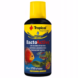 L'utilisation de TROPICAL Bacto-Active vous permet de : accélération de la colonisation de l'aquarium par les bactéries nitri ...
