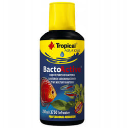 Bacto active 250 ml - Tropical