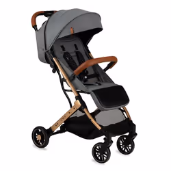 MoMi WOSP00018, Pliable, Or, Gris