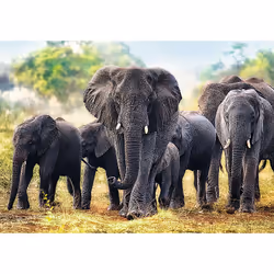 Trefl 10442 puzzle Jeu de puzzle 1000 pièce(s)