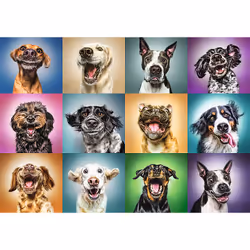 Trefl 10462 puzzle Jeu de puzzle 1000 pièce(s) Animaux