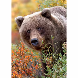 Trefl 10518 puzzle Jeu de puzzle 1000 pièce(s)