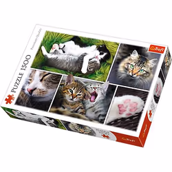 Trefl 26145, 1500 pièce(s), Animaux, 12 an(s)