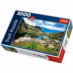 Trefl 33031, 3000 pièce(s)