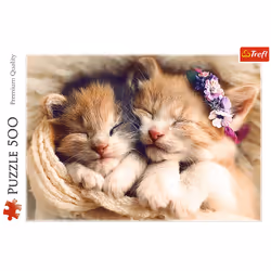 Trefl 37271 puzzle Jeu de puzzle 500 pièce(s)