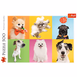 Trefl 37378 puzzle Jeu de puzzle 500 pièce(s) Animaux