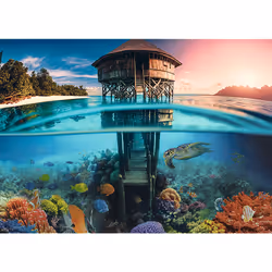 Trefl 37462 puzzle Jeu de puzzle 500 pièce(s) Flore et faune