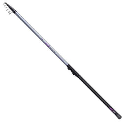 Canne à Pêche Bolognese - MIKADO - Fibre de Carbone 36T - 600 cm - 255 g