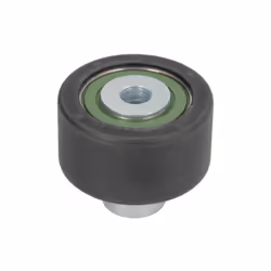 Galet enrouleur de courroie d'accessoire BTA E2P5246BTA