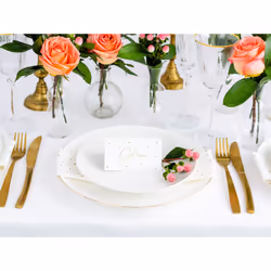 PartyDeco WS4-019ME-KARTON carte de table 50 pièce(s)