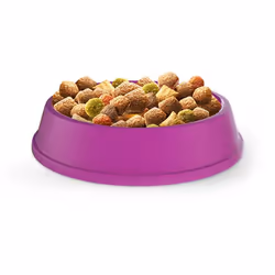 ‎Whiskas 5900951014352 croquette pour chat 14 kg Adulte Poulet
