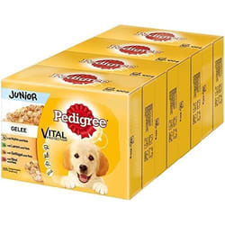 Nourriture Humide pour Chiots - PEDIGREE - Vital Protection - Paquet Grand Format - Junior - Pâtée