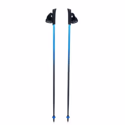 Bâton de marche nordique Viking Pro-Trainer