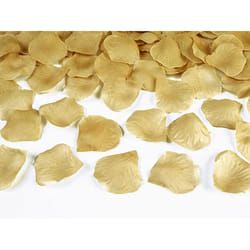PartyDeco PLRD100-019-KARTON décoration de fête