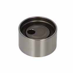 Galet tendeur, courroie de distribution SKF VKM 76203