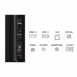 TCL C64 Series 50C649 TV 127 cm (50") 4K Ultra HD Smart TV Titane - Vue supplémentaire 4