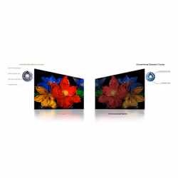 TCL S59K 32S59K TV 32" Full HD Smart TV Métallique - Vue supplémentaire 8