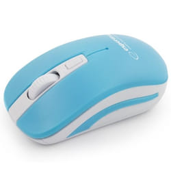 Esperanza EM126WB souris RF sans fil Optique 1600 DPI