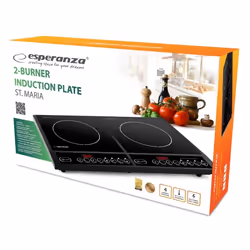 Esperanza EKH008 plaque Noir Comptoir Plaque avec zone à induction 2 zone(s)