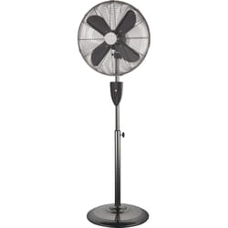 MPM MWP-13M ventilateur Noir