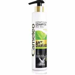 Delia Cosmetics Cameleo Anti-Damage, 250 ml, Shampoing, Non-professionnel, Femmes, Cheveux cassants, Cheveux abimés, Toutes l ...