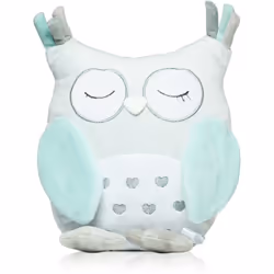 Les jouets sont le moyen idéal pour favoriser le développement des tout petits. Le jouet BabyOno Have Fun Owl Sofia ne divert ...